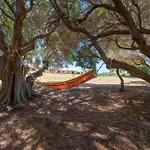 Διαμέρισμα Casa Ginestre Piscina E Vista Mare *