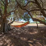Casa Ginestre Piscina E Vista Mare 公寓 阿列恩图