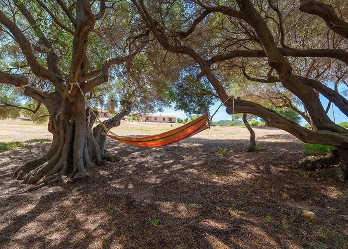 Casa Ginestre Piscina E Vista Mare Appartamento Aglientu